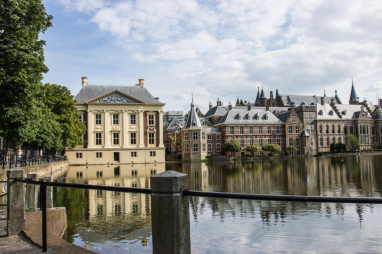 The Growing Community of Immigrant Artists in the Netherlands