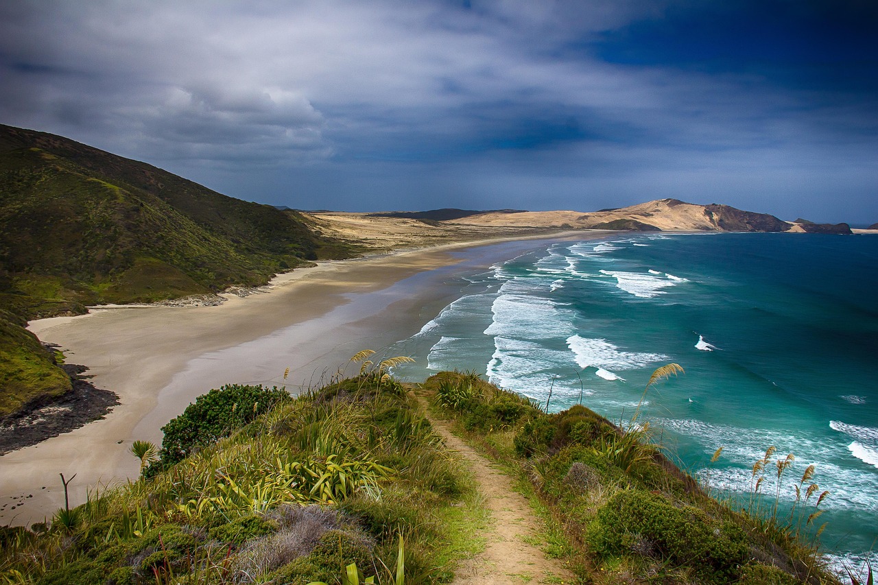 New Zealand's New Work Visa Route for International Students