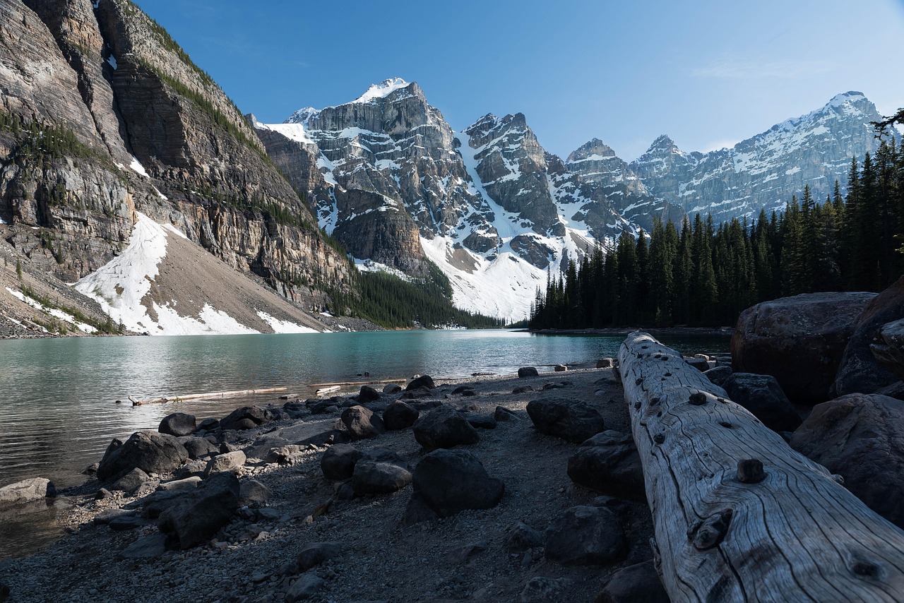 Canada's New Express Entry Rules: Opportunities for Military Professionals