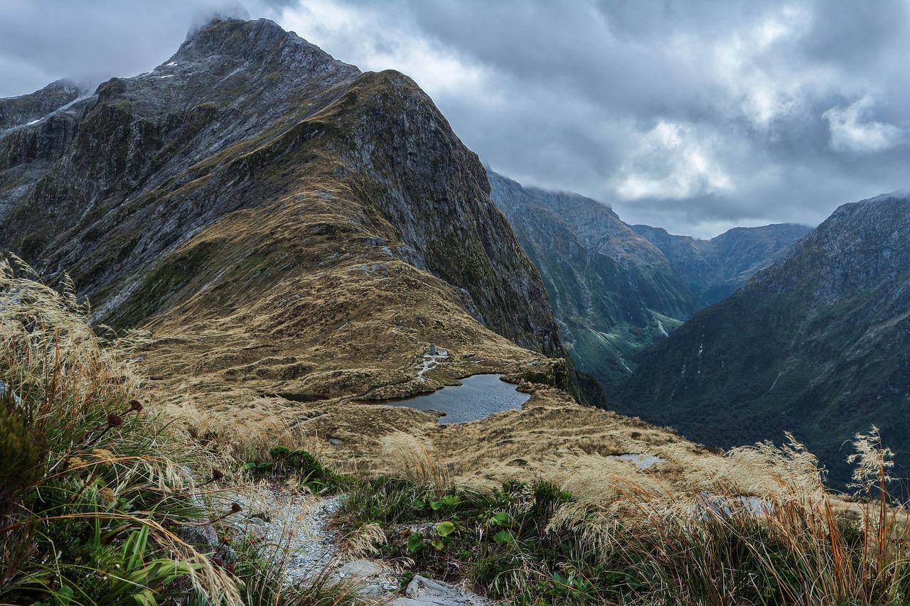 Navigating the Extended Wait for Permanent Residency in New Zealand
