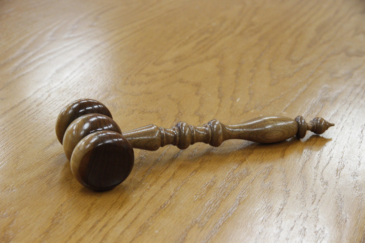 Navigating Uncertainty: The Impact of Court Decisions on Haitian Immigrants in France